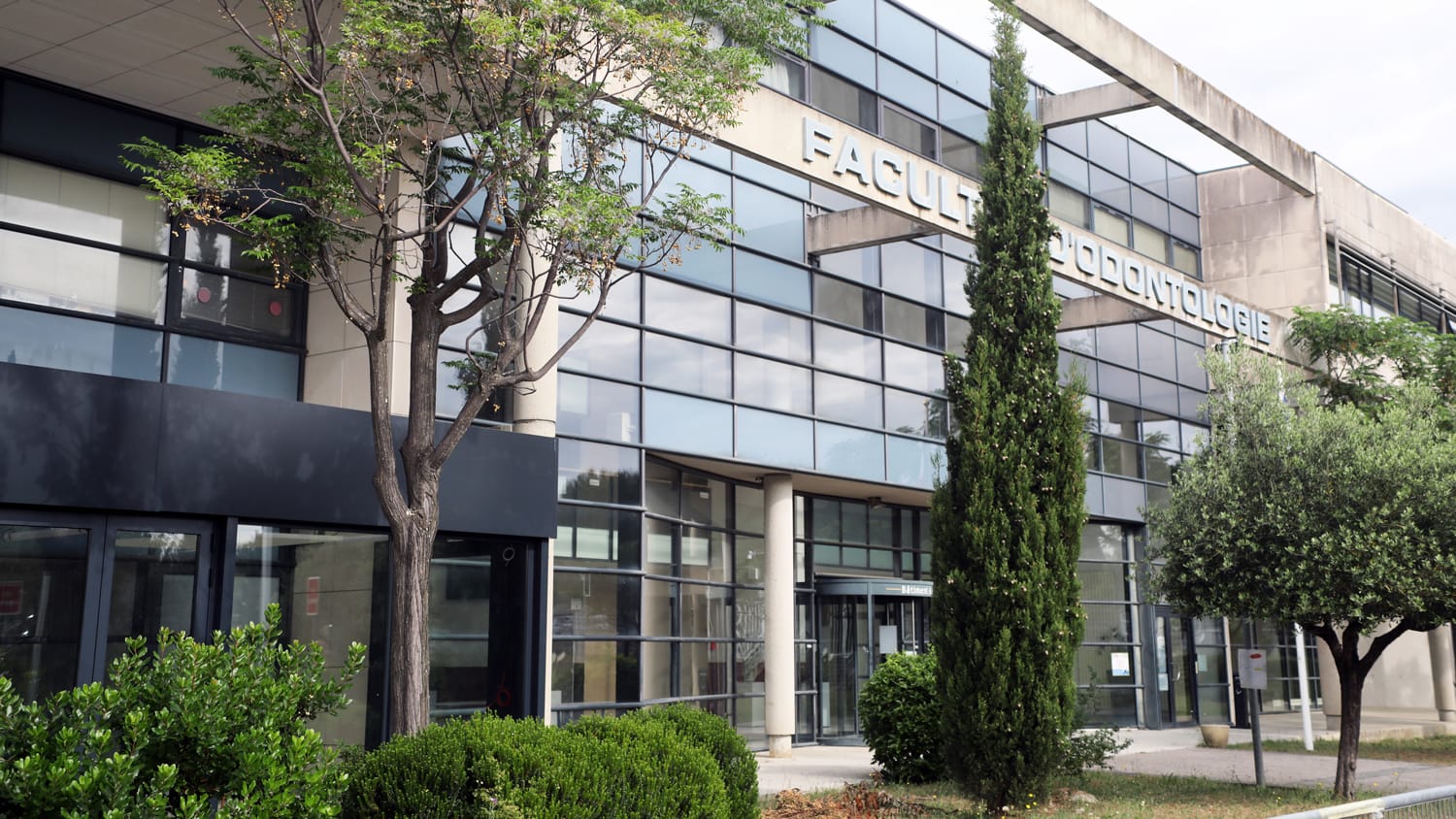 BU Odontologie Montpellier