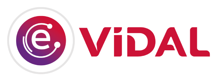 logo E-Vidal
