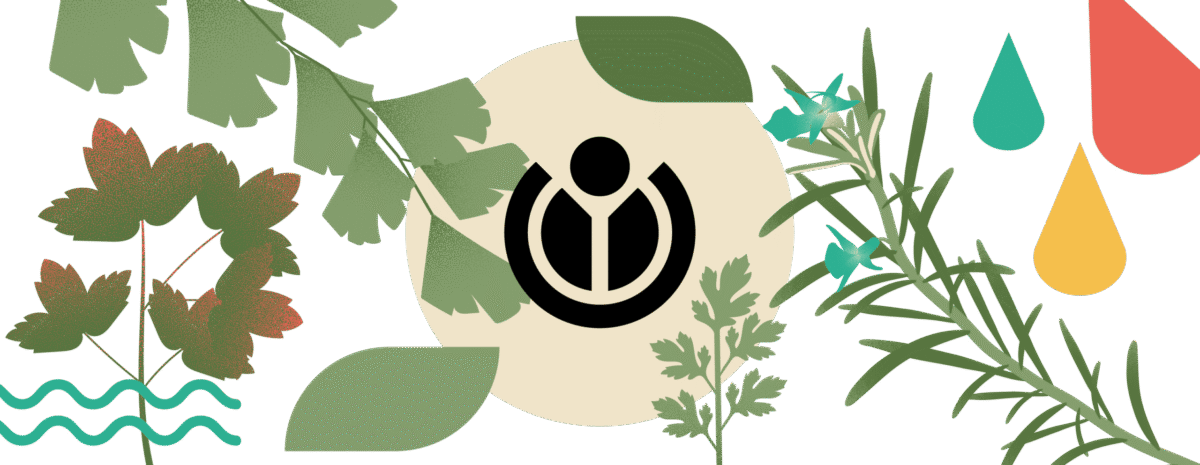 Visuel représentant le logo Wikimédia et des plantes.