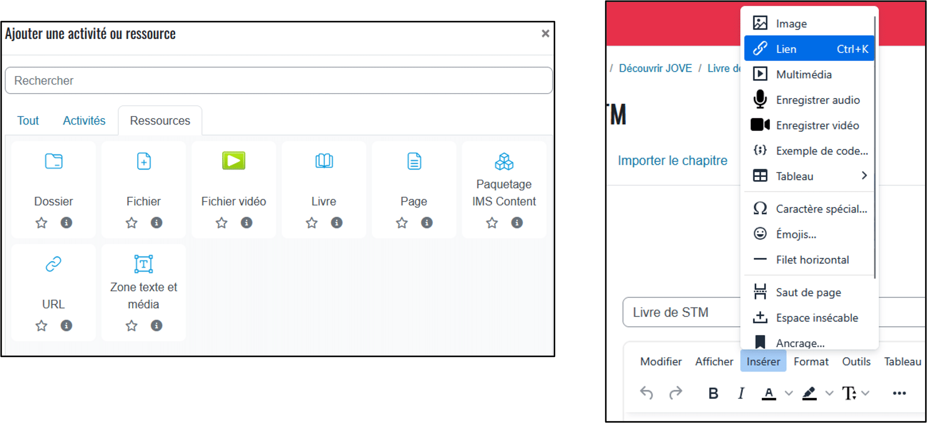 Screenshot of adding a link in Moodle